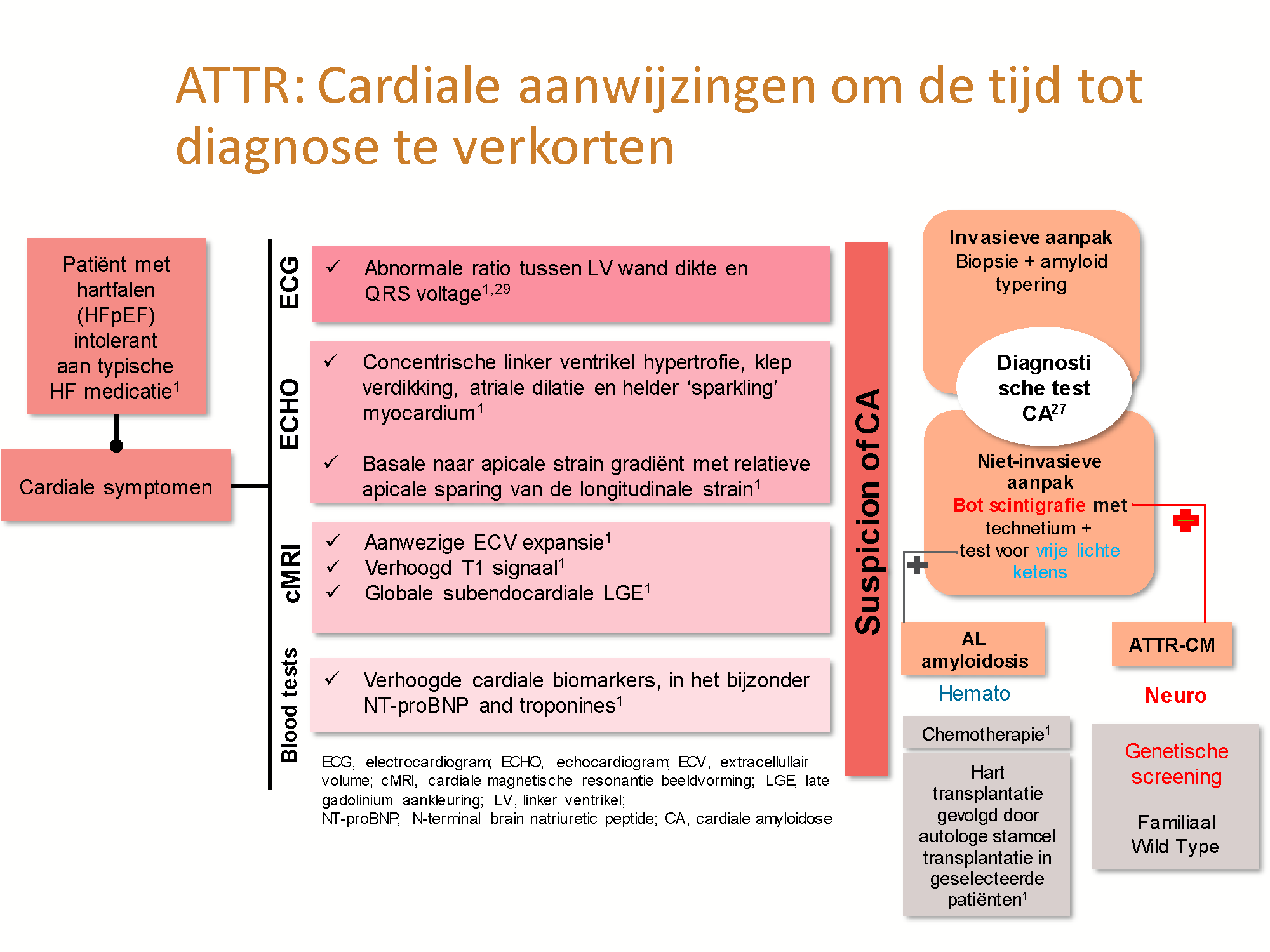 Cardiale aanwijzingen om de tijd tot diagnose te verkorten. Samenvattend schema van cardiale aanwijzingen voor ATTR-CM