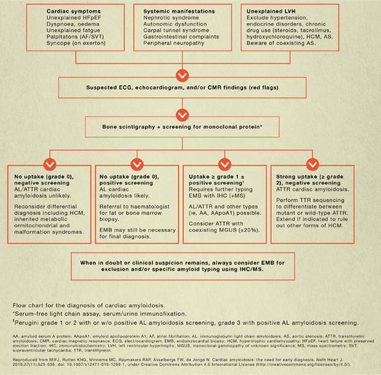 Diagnostisch algoritme voor cardiale amyloïdose