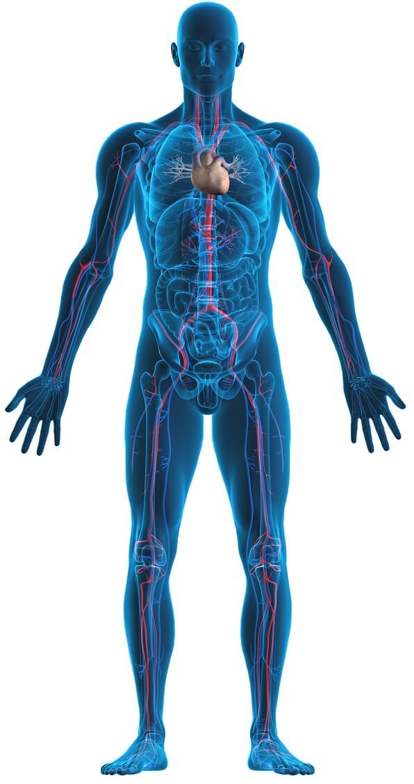 Vu le large éventail de symptômes possibles, il n’est pas rare d’établir un diagnostic incorrect  d’un patient.