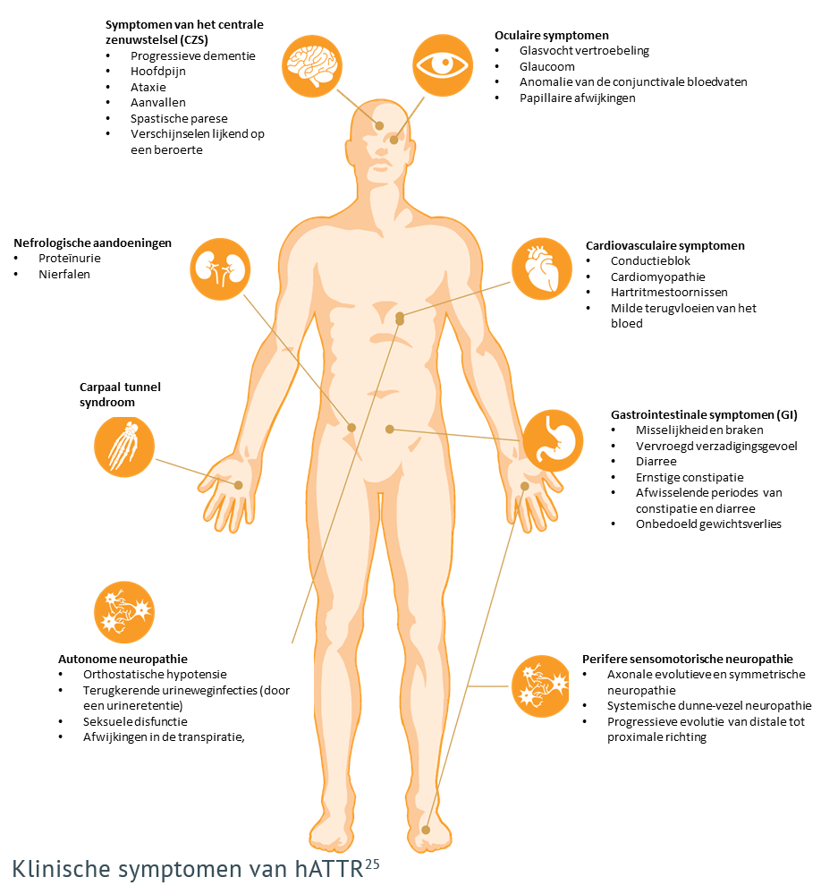 De belangrijkste waarschuwingsindicatoren voor amyloidose en hATTR