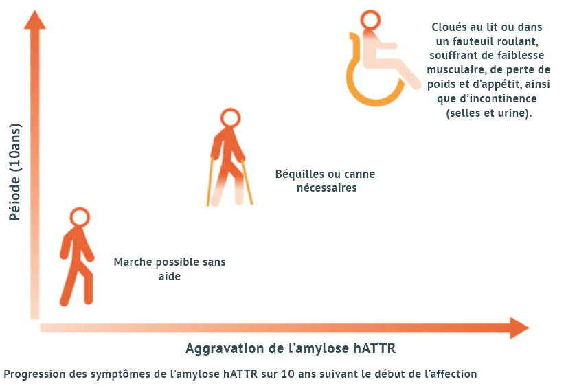 Progression des symptômes de l'amylose sur 10 ans suivant le début de l'affection