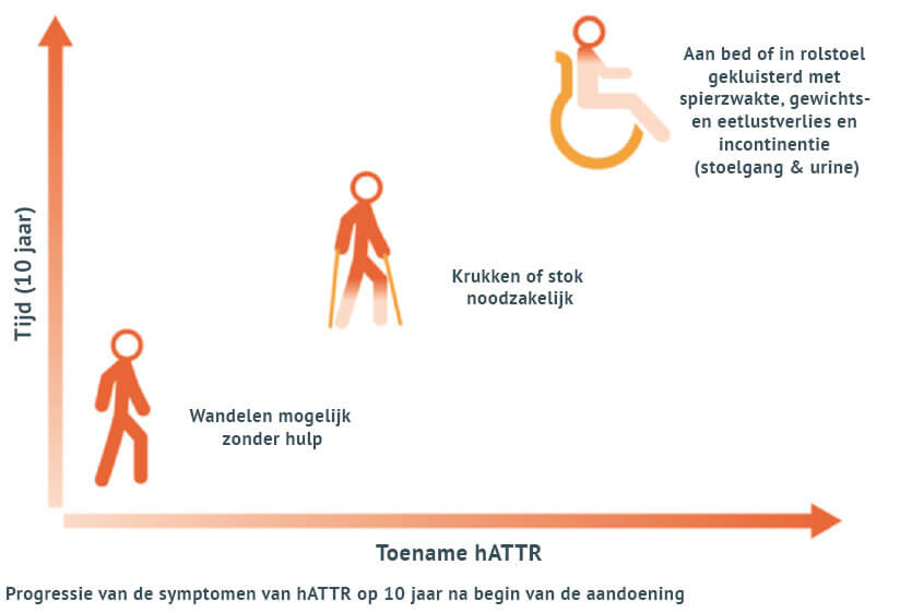 De progressie van de symptomen van hATTR op 10 jaar na begin van de aandoening