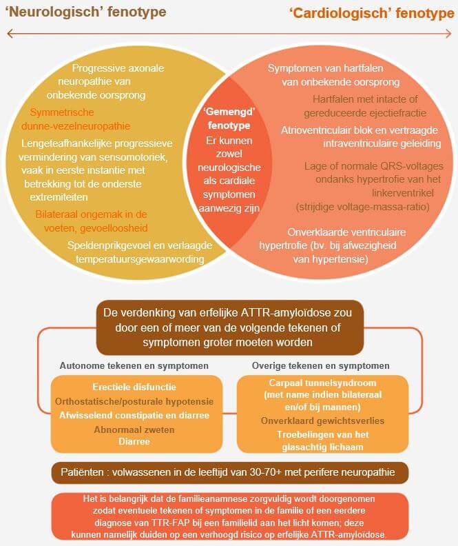 De meest courante symptomen voor beide vormen van amyloidose en hATTR